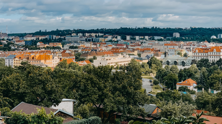 Praha 8 patří k nejzelenějším částem Prahy, stromy do města patří