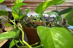 lowituv-mlyn-otevren7