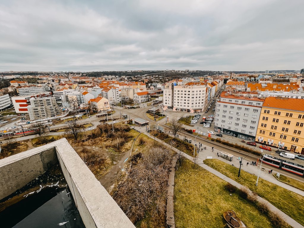 novapalmovka10-prosinec2021