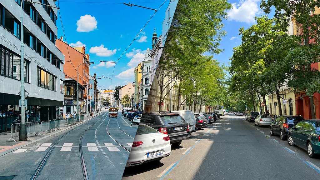 srovnani-ulice-stromy-zenklova