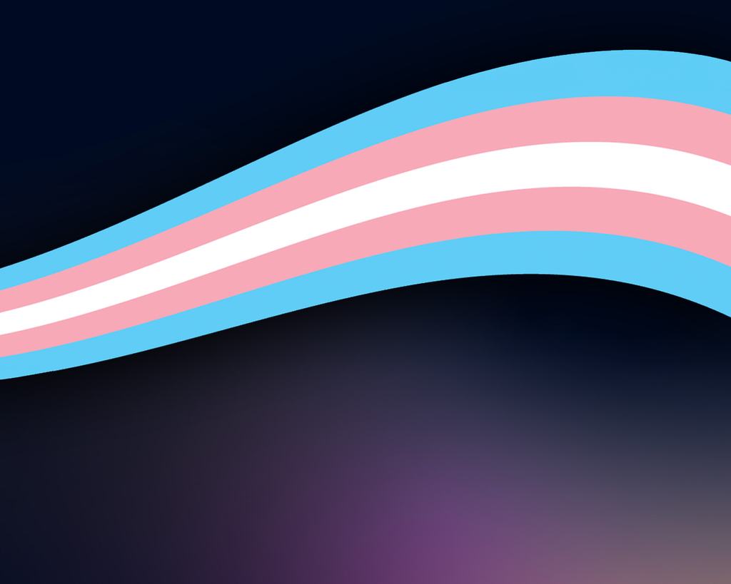 Zákon proti trans lidem neprošel, Pokus osmičkové senátorky Ludkové nevyšel