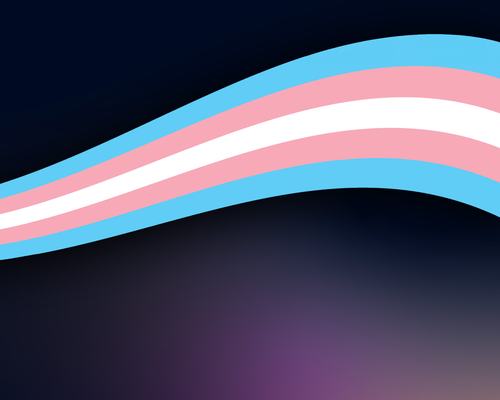 Zákon proti trans lidem neprošel, Pokus osmičkové senátorky Ludkové nevyšel