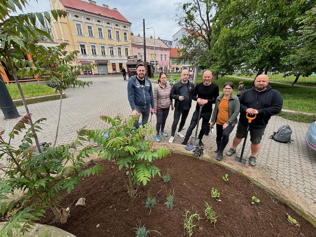 zvelebeni-palmovky11